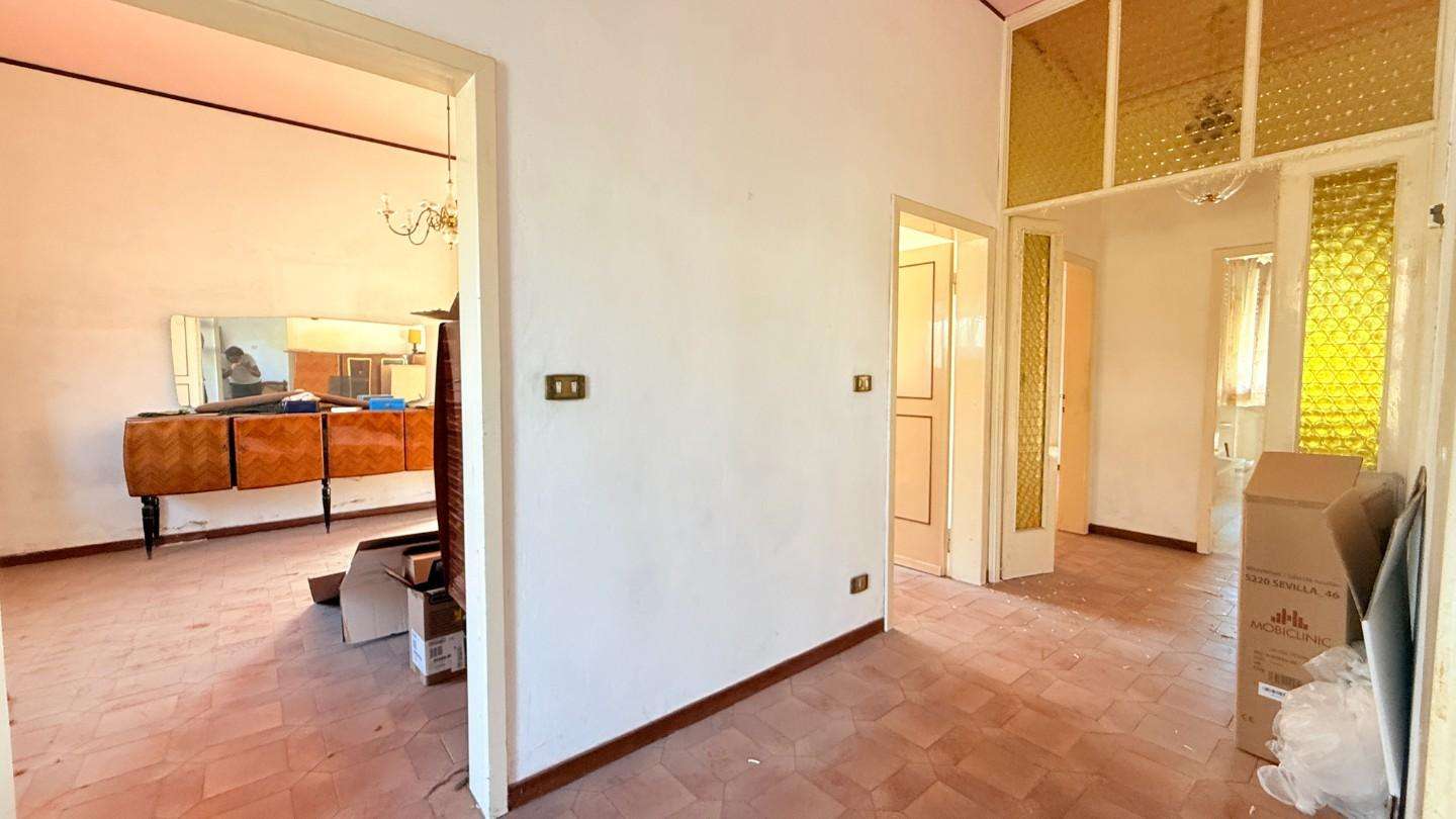  - foto 14