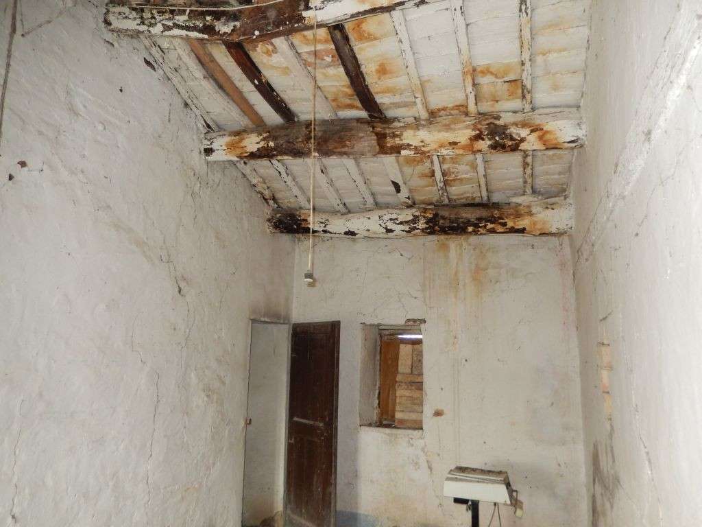  - foto 15