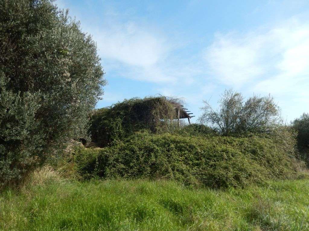  - foto 17