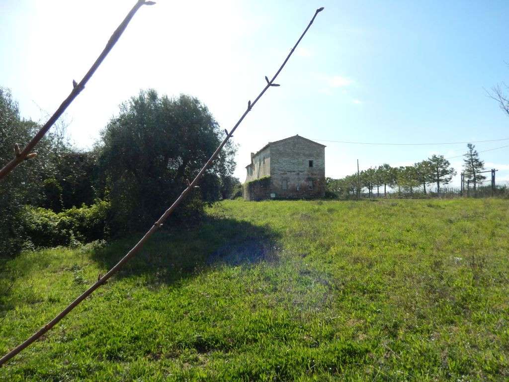  - foto 20