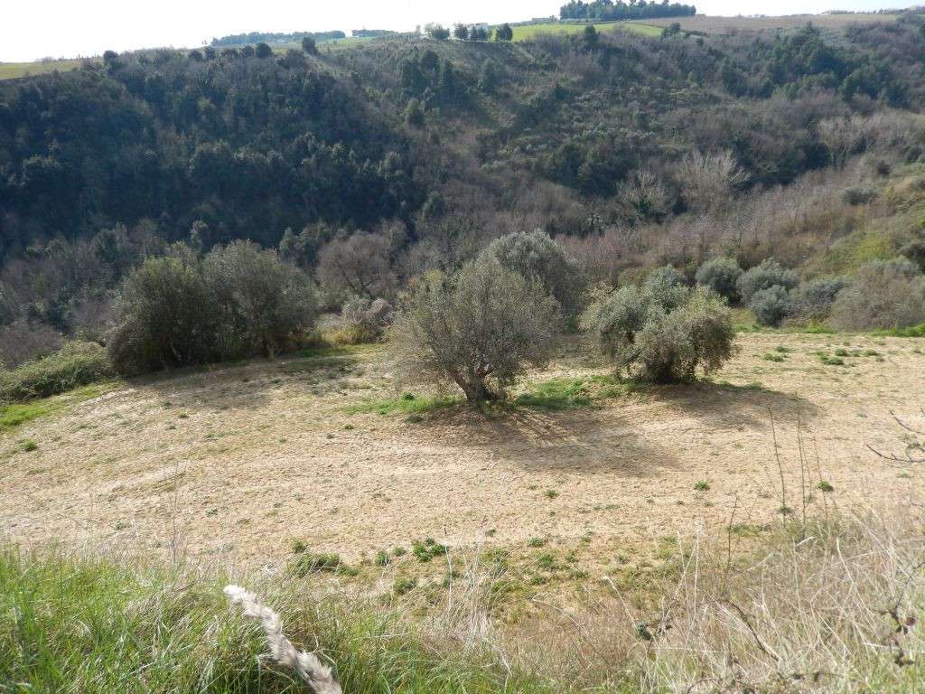  - foto 21