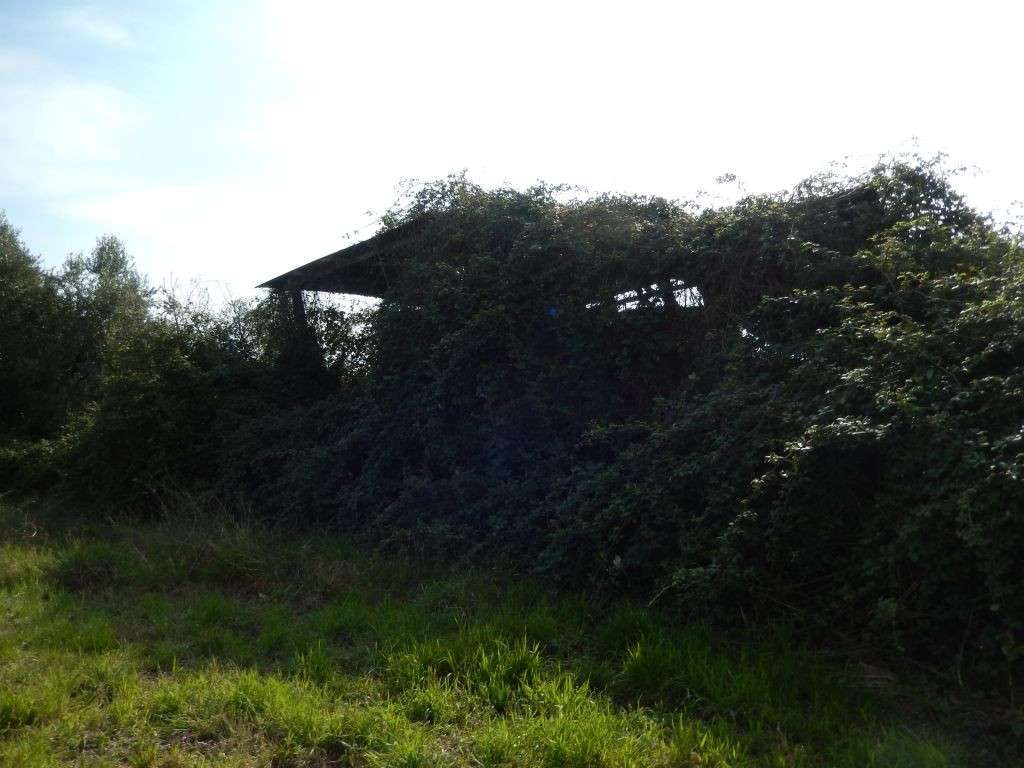  - foto 22