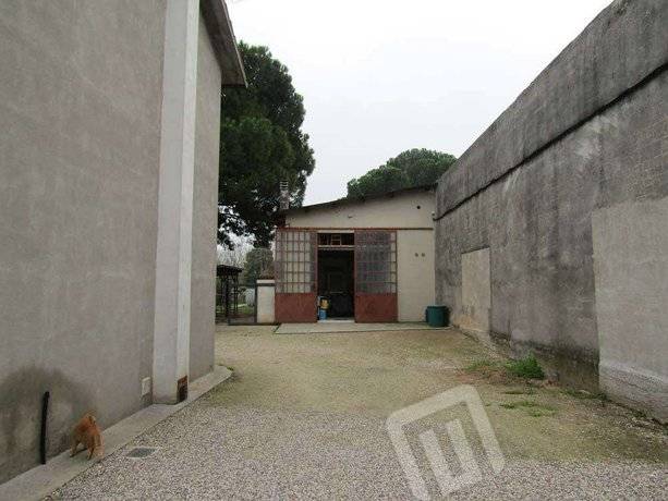  - foto 3