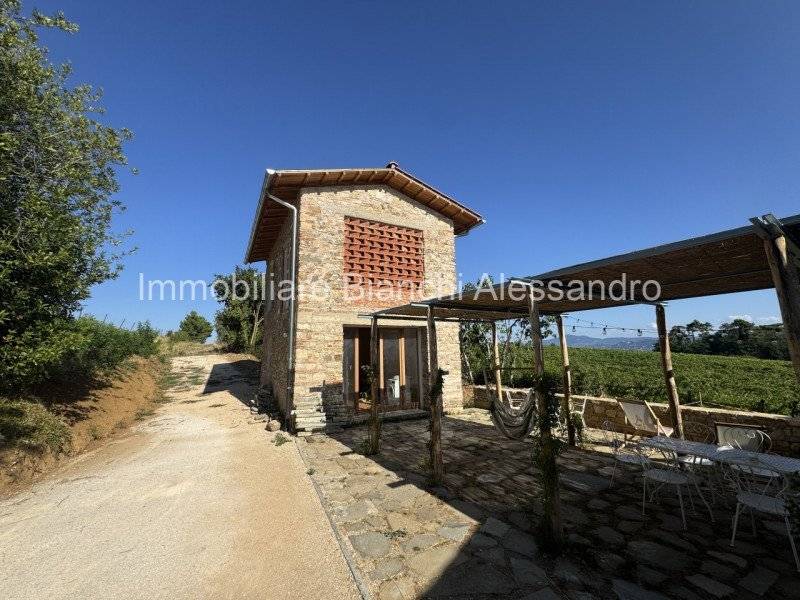  - foto 4