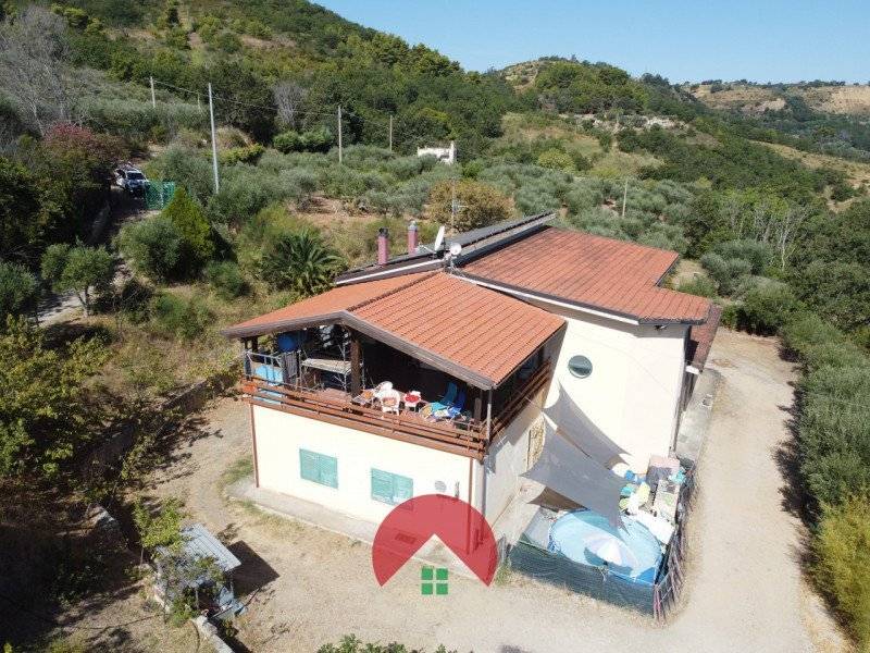  - foto 4