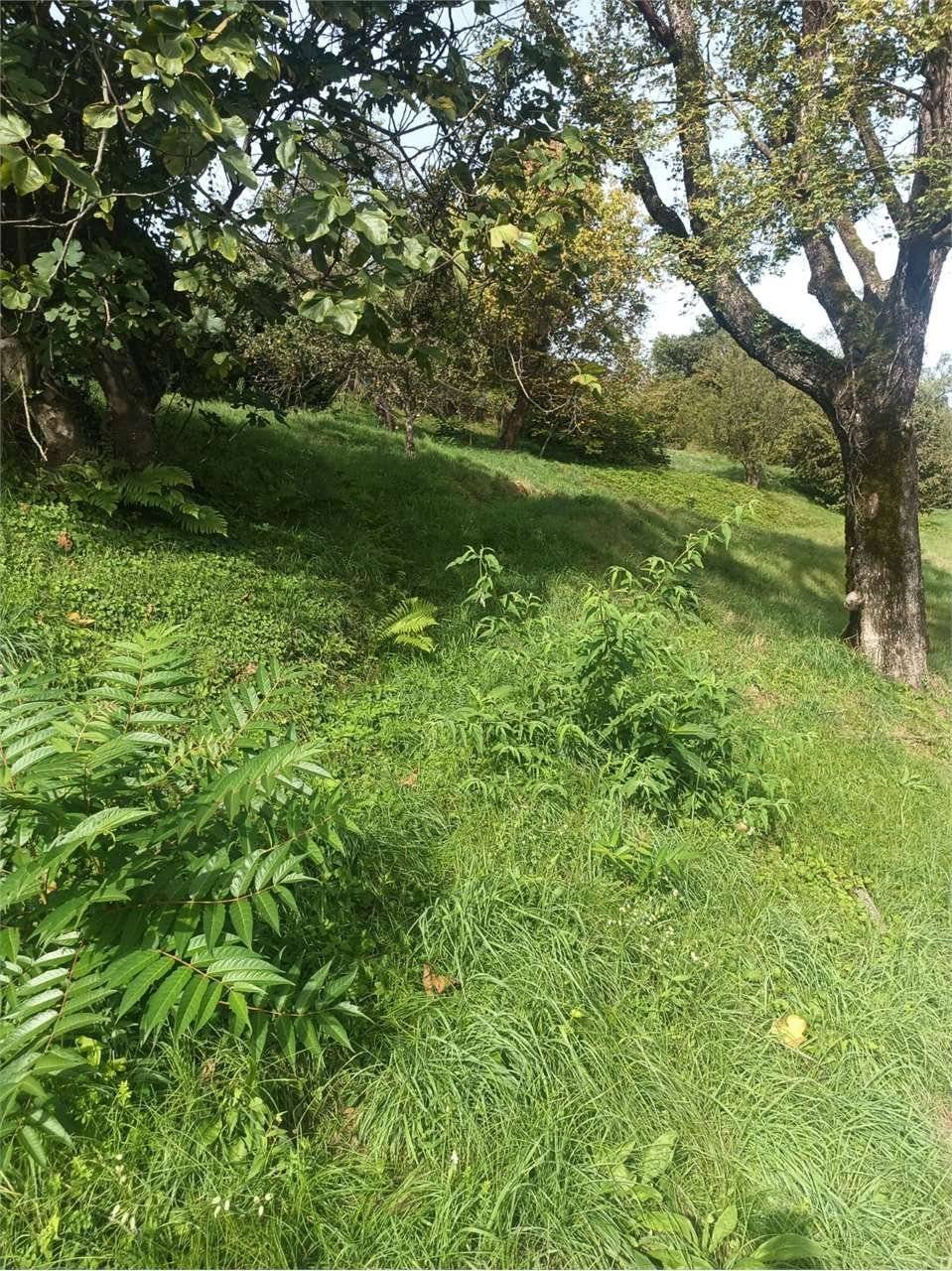  - foto 10