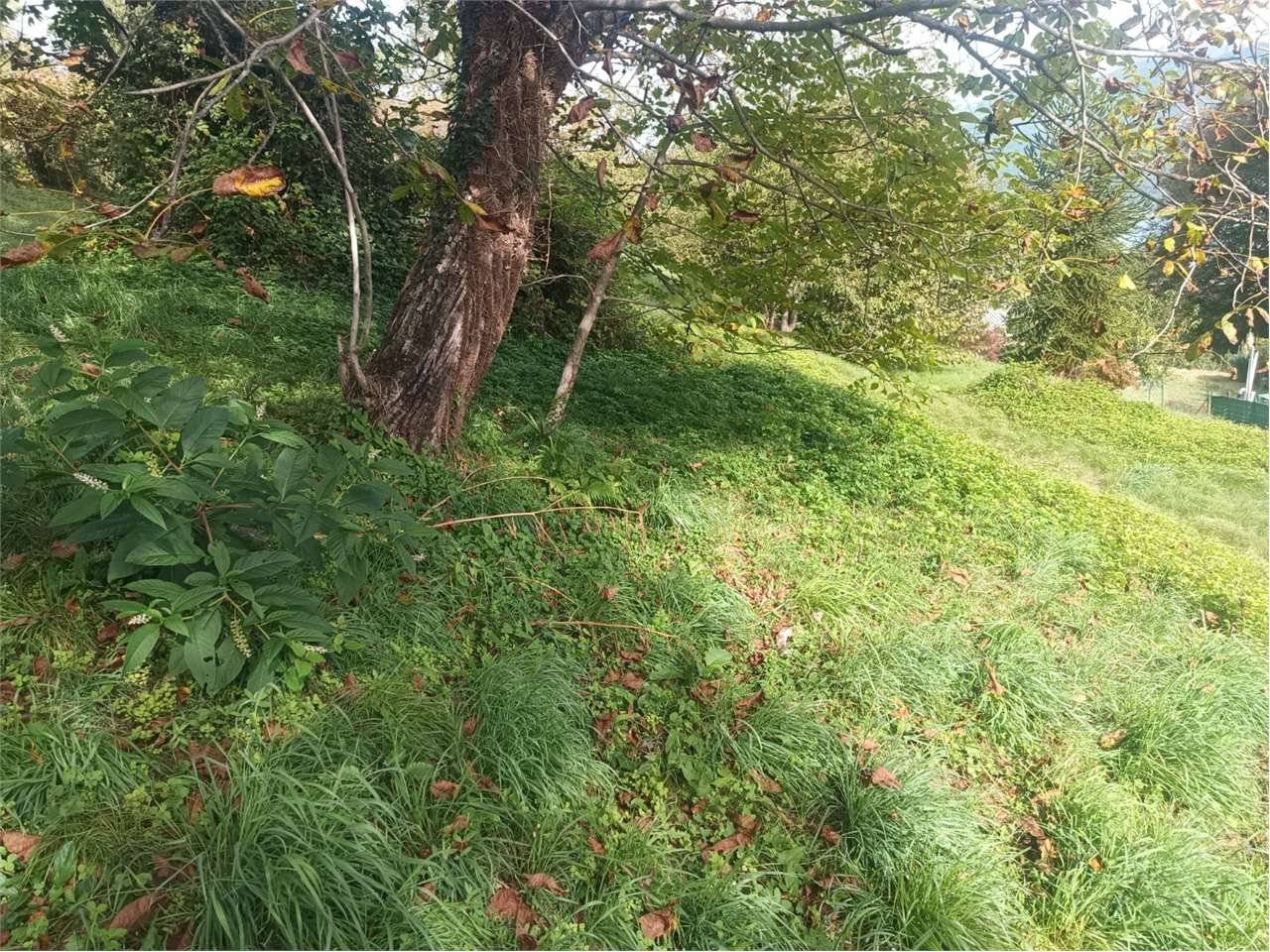  - foto 8