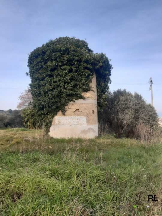  - foto 6