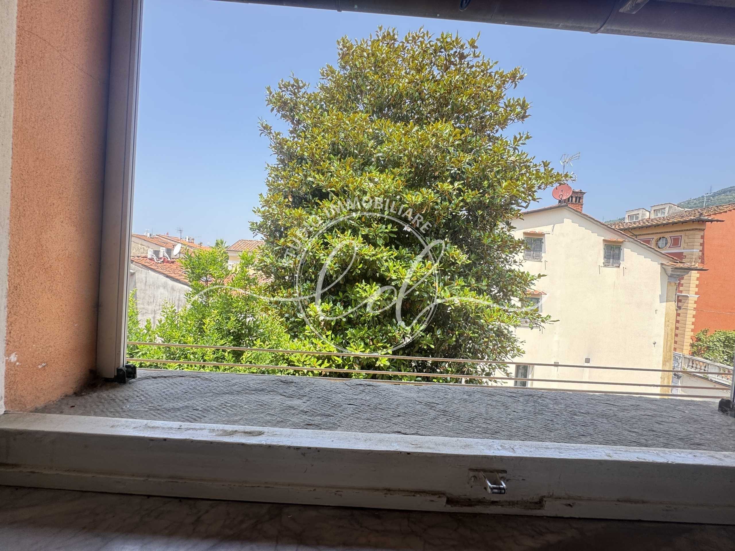  - foto 11