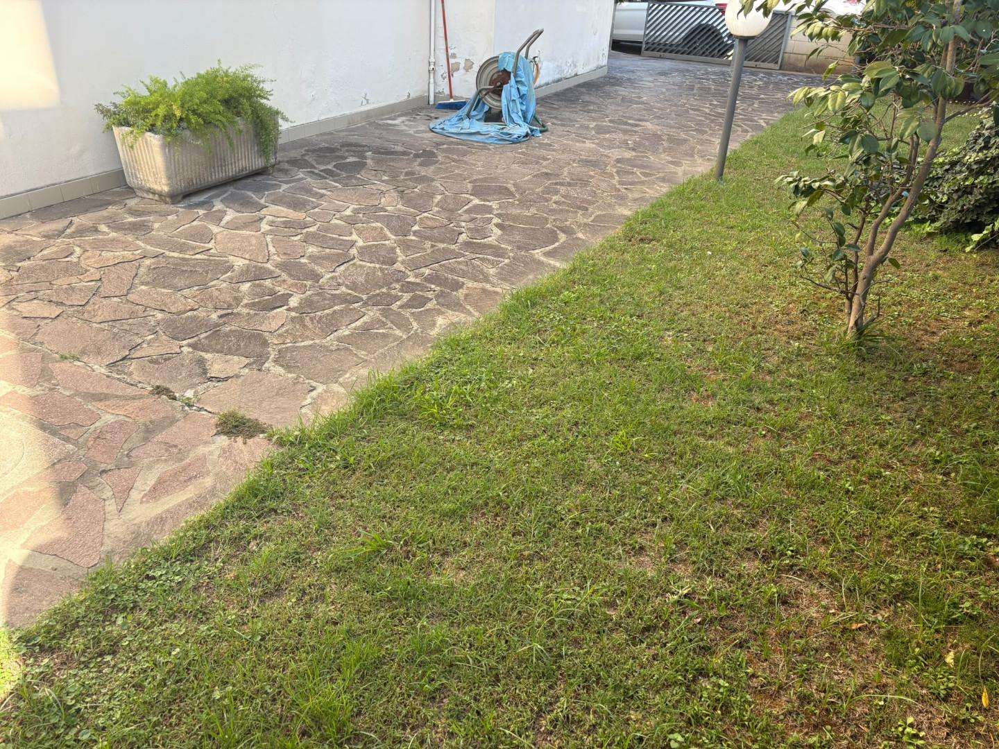  - foto 24
