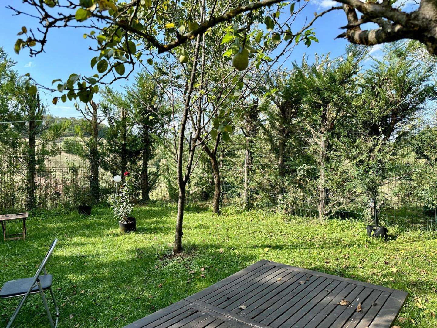  - foto 38