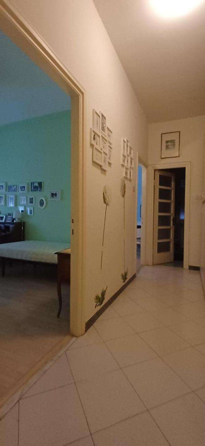  - foto 11