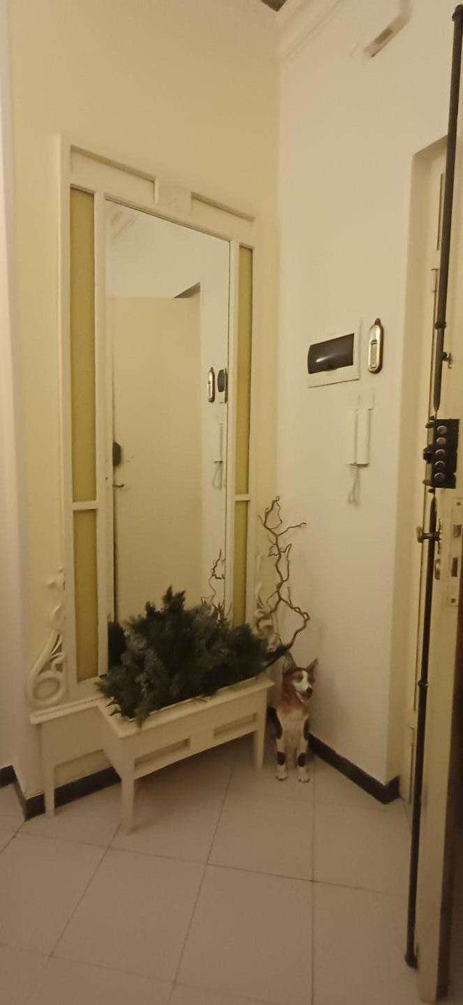  - foto 3