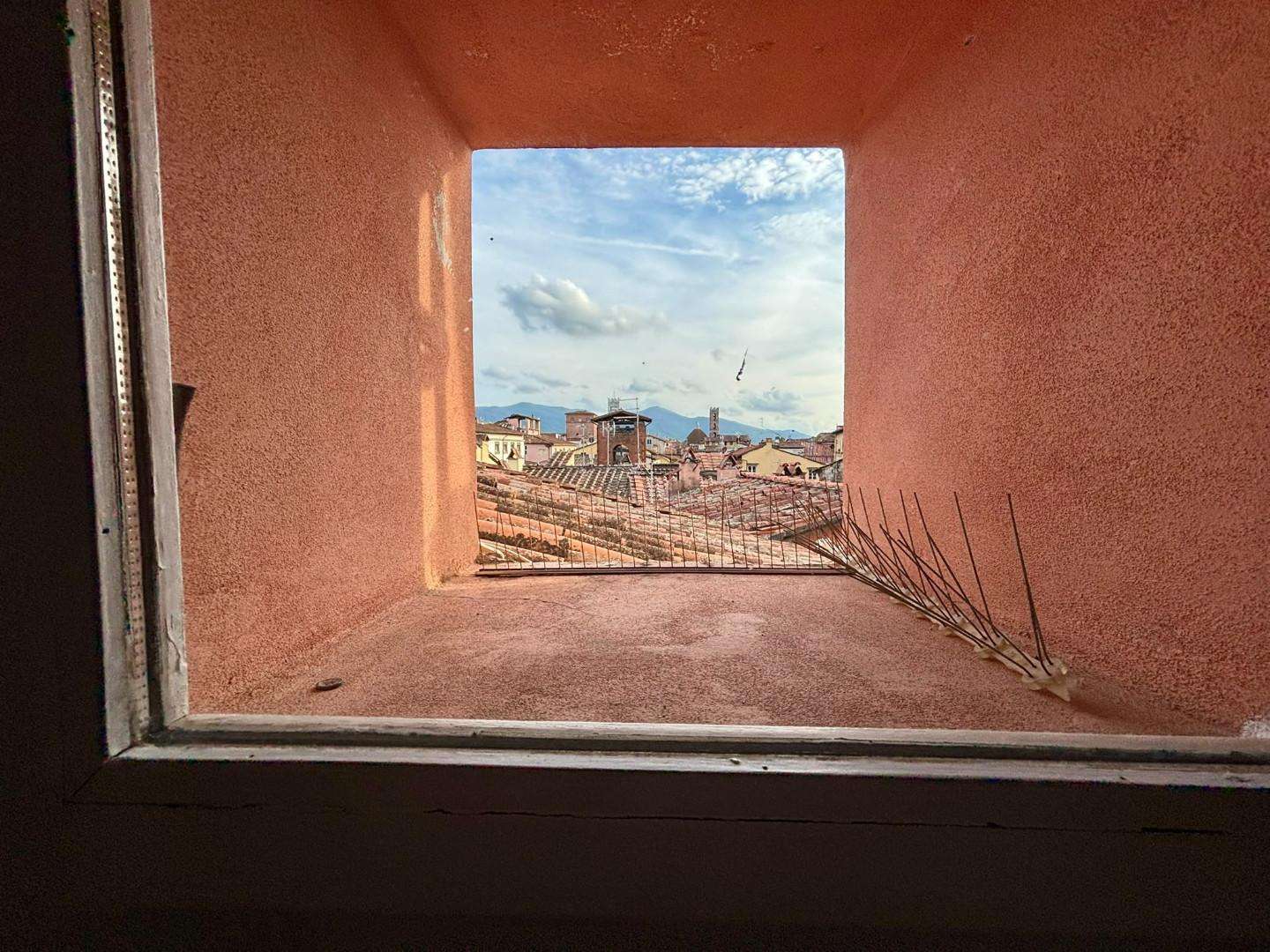  - foto 37