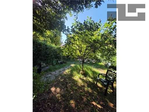  - foto 25