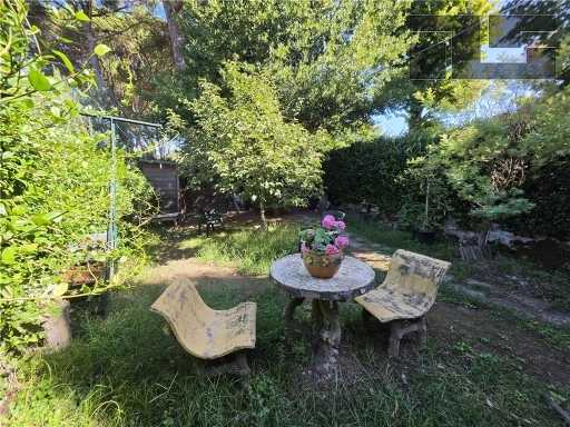  - foto 26