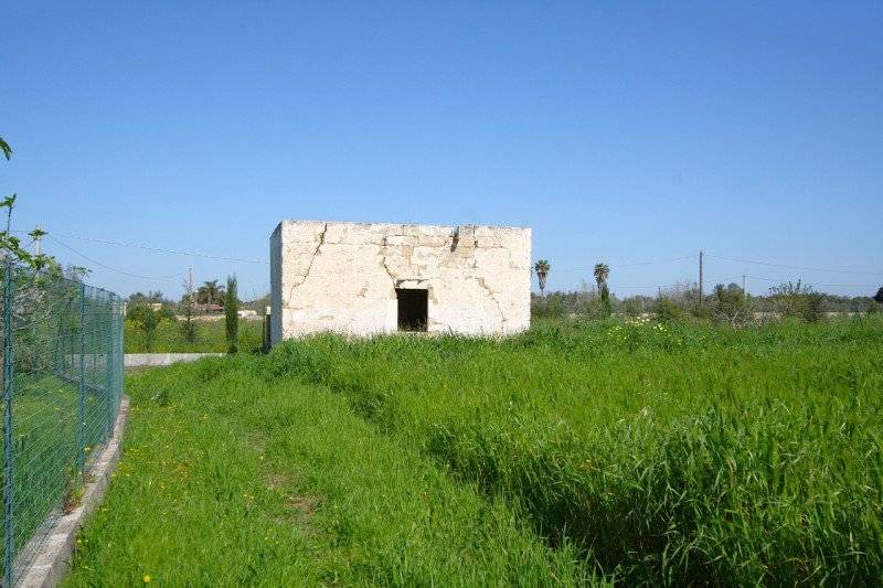  - foto 9