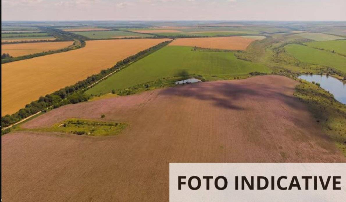  - foto 8