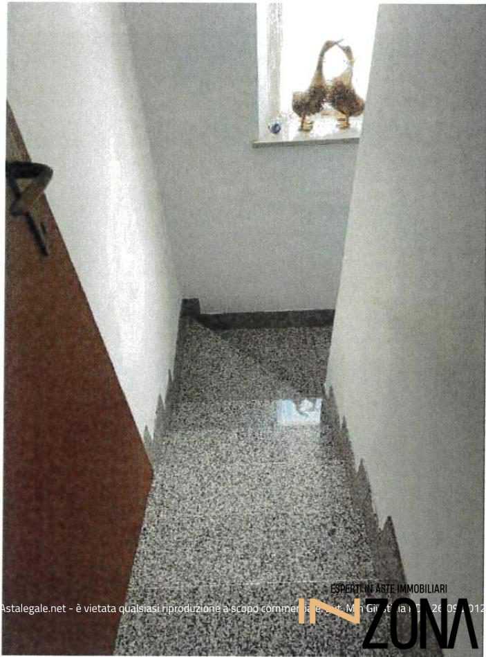  - foto 5