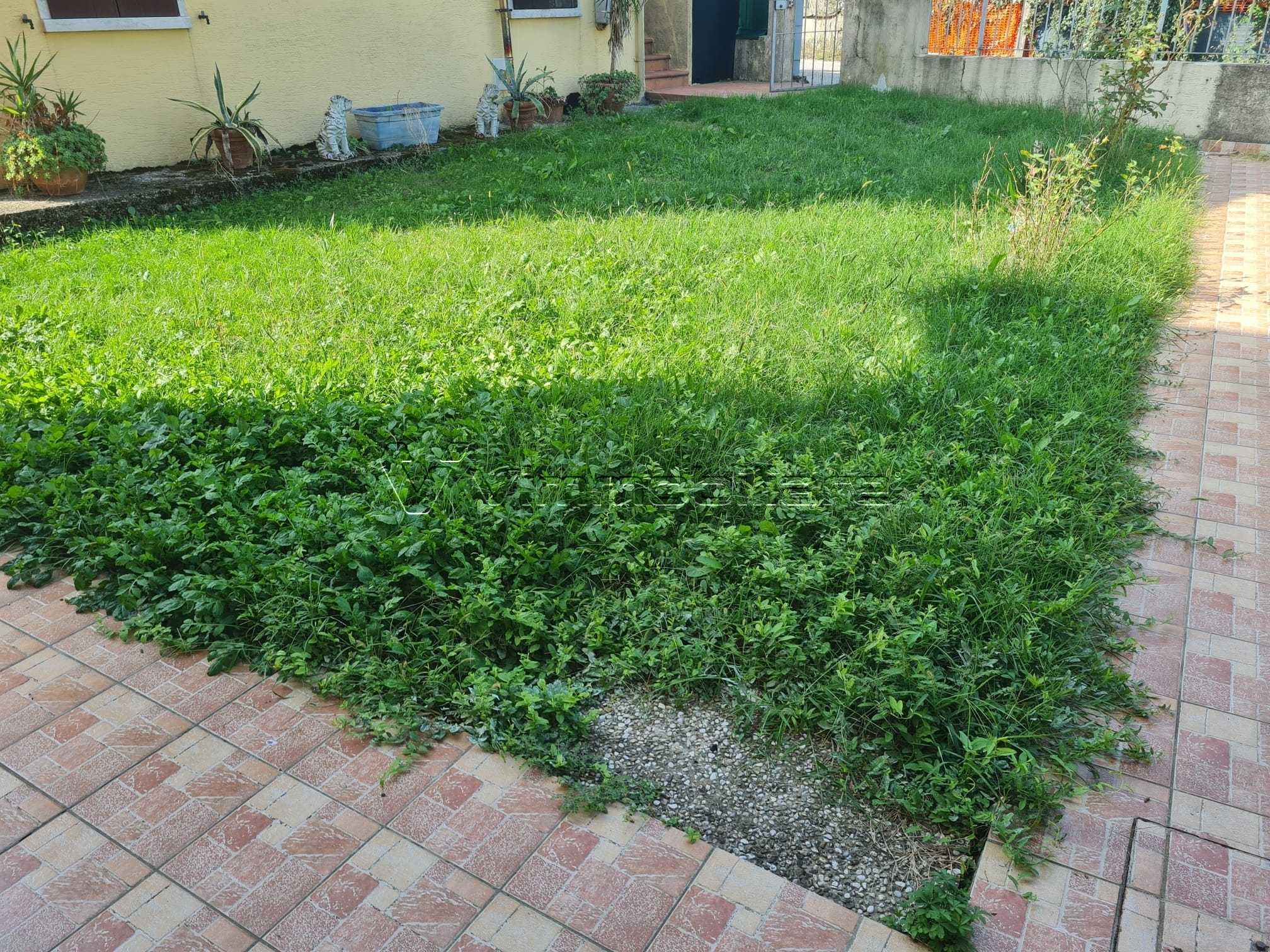  - foto 24