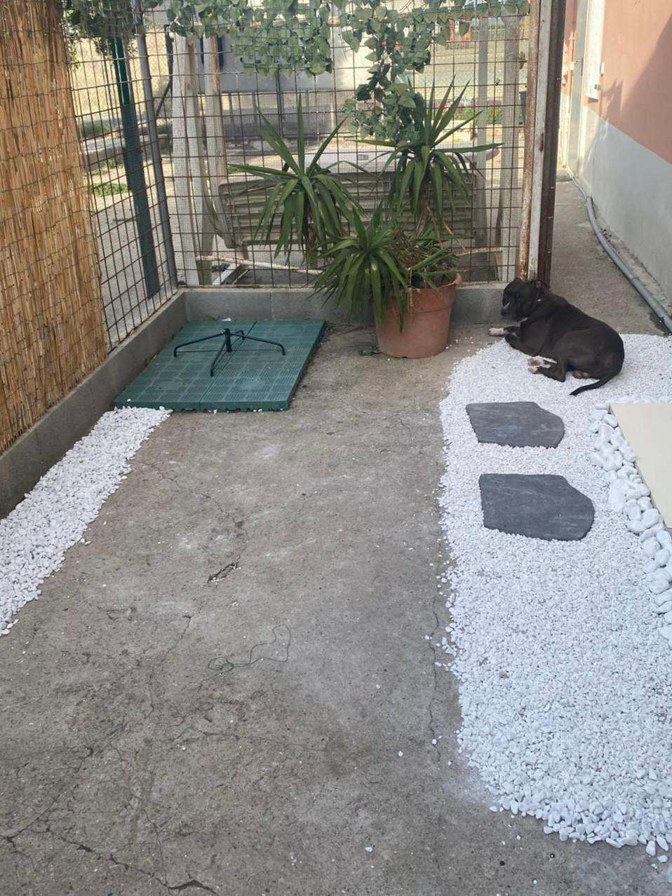  - foto 18