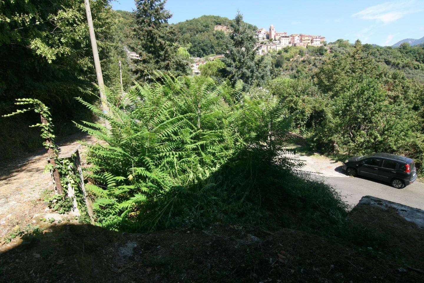  - foto 13