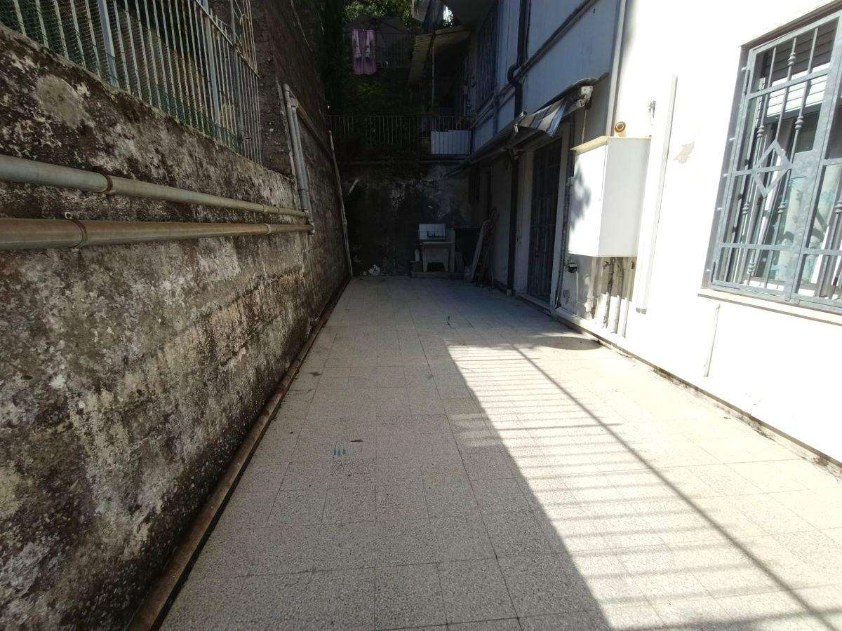  - foto 8