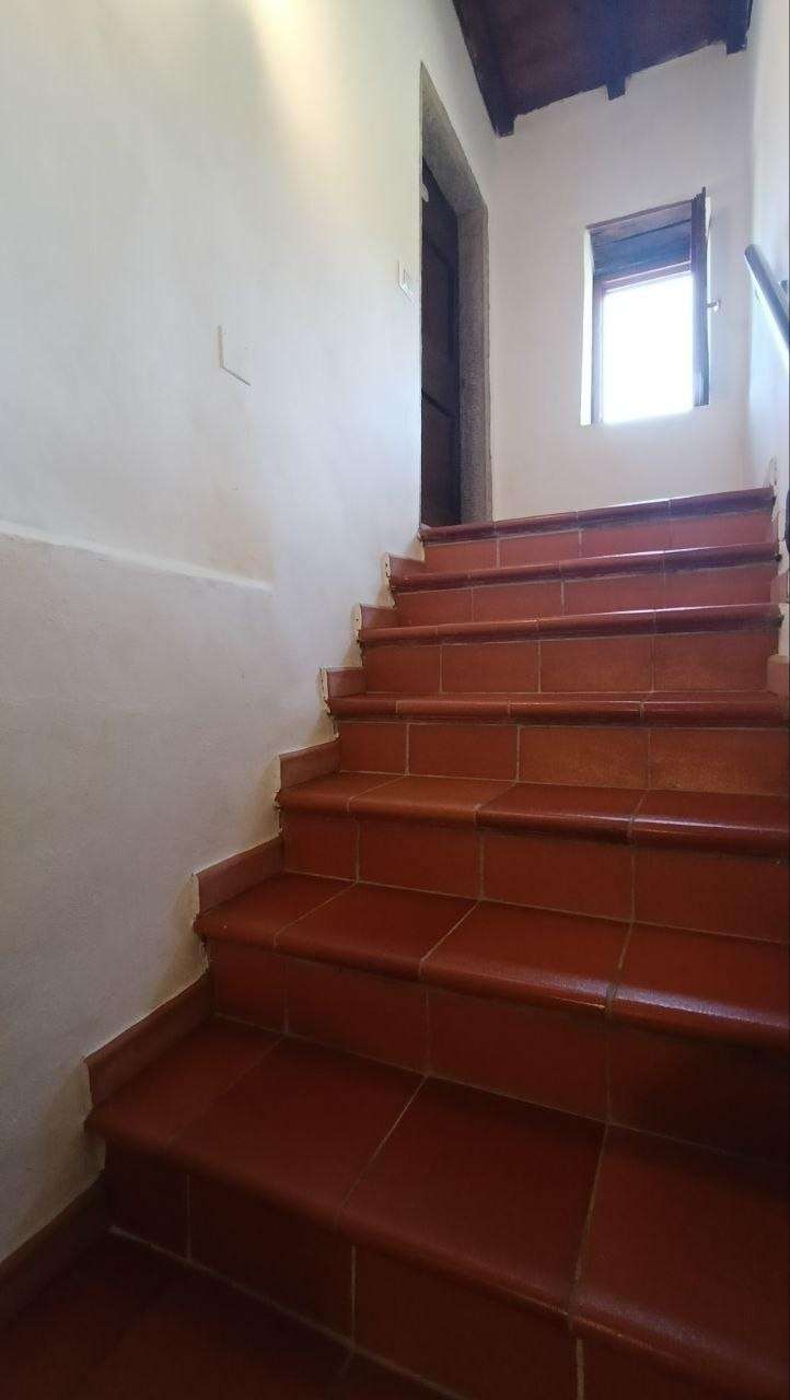  - foto 14