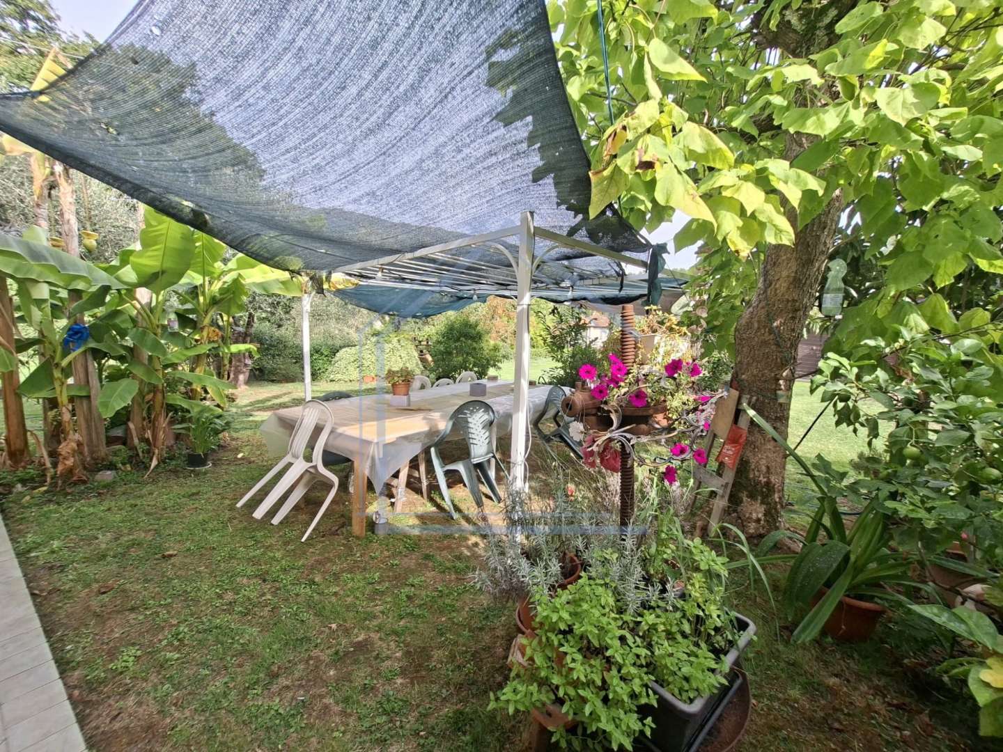  - foto 28