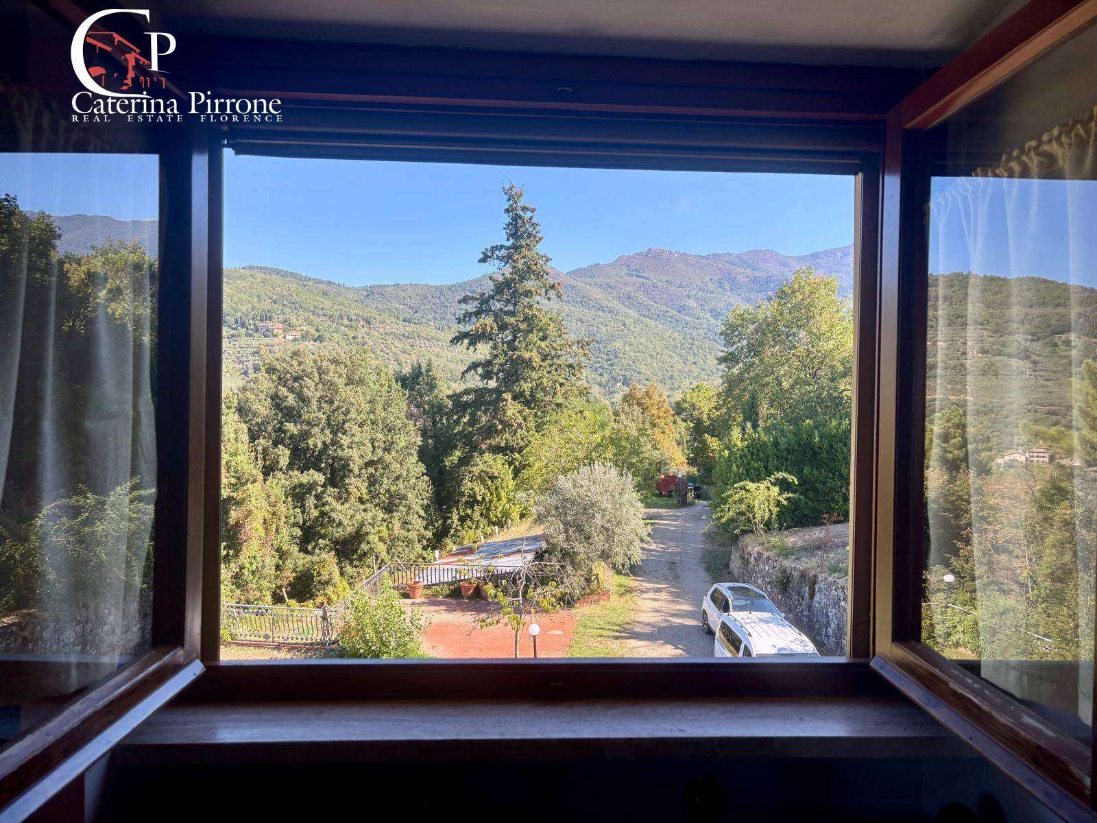  - foto 36