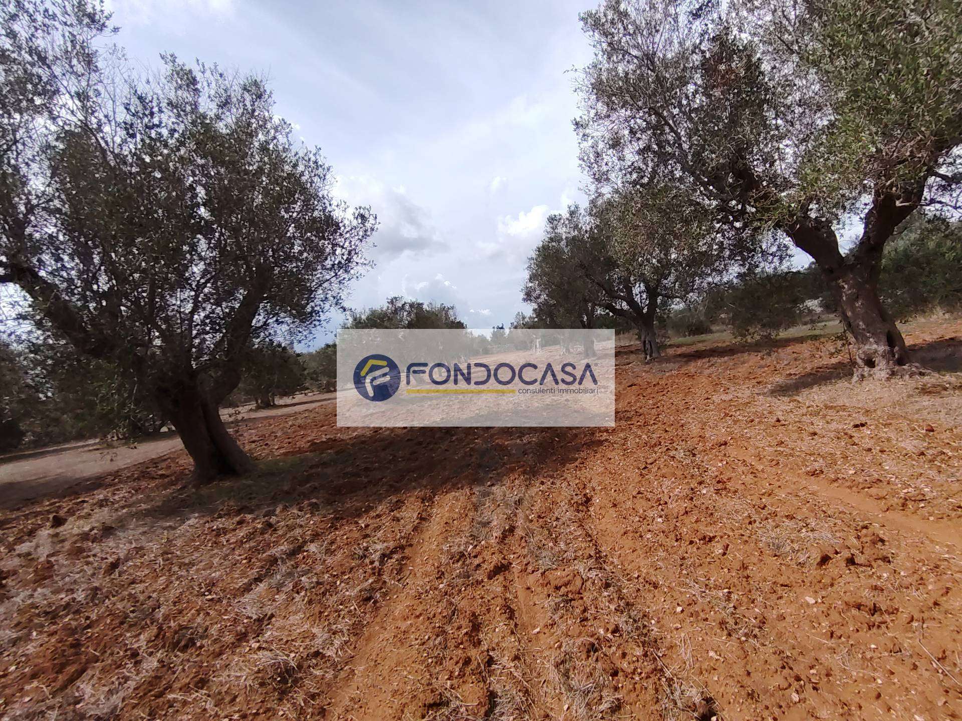  - foto 11
