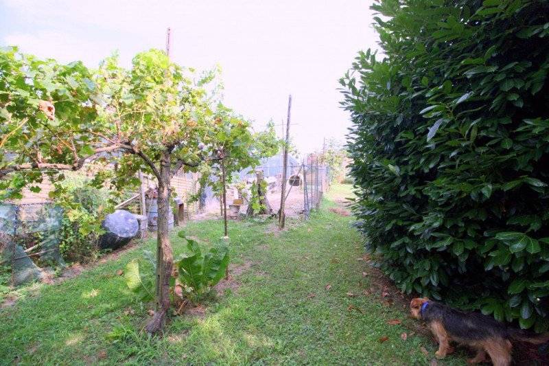  - foto 7