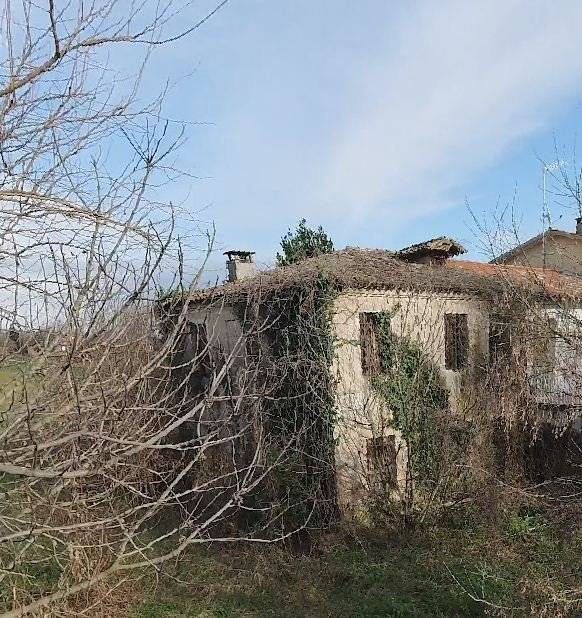  - foto 6