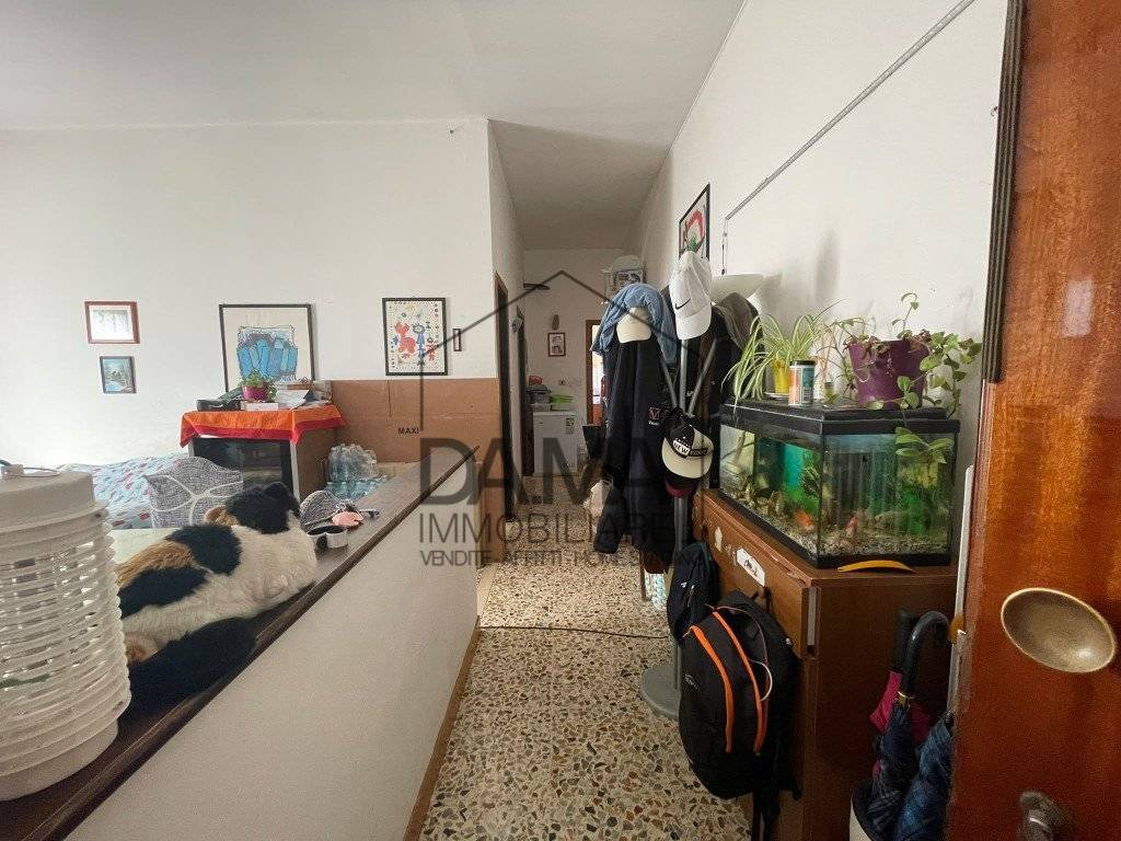  - foto 7