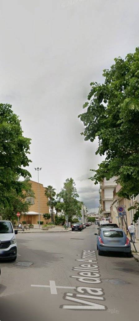  - foto 7