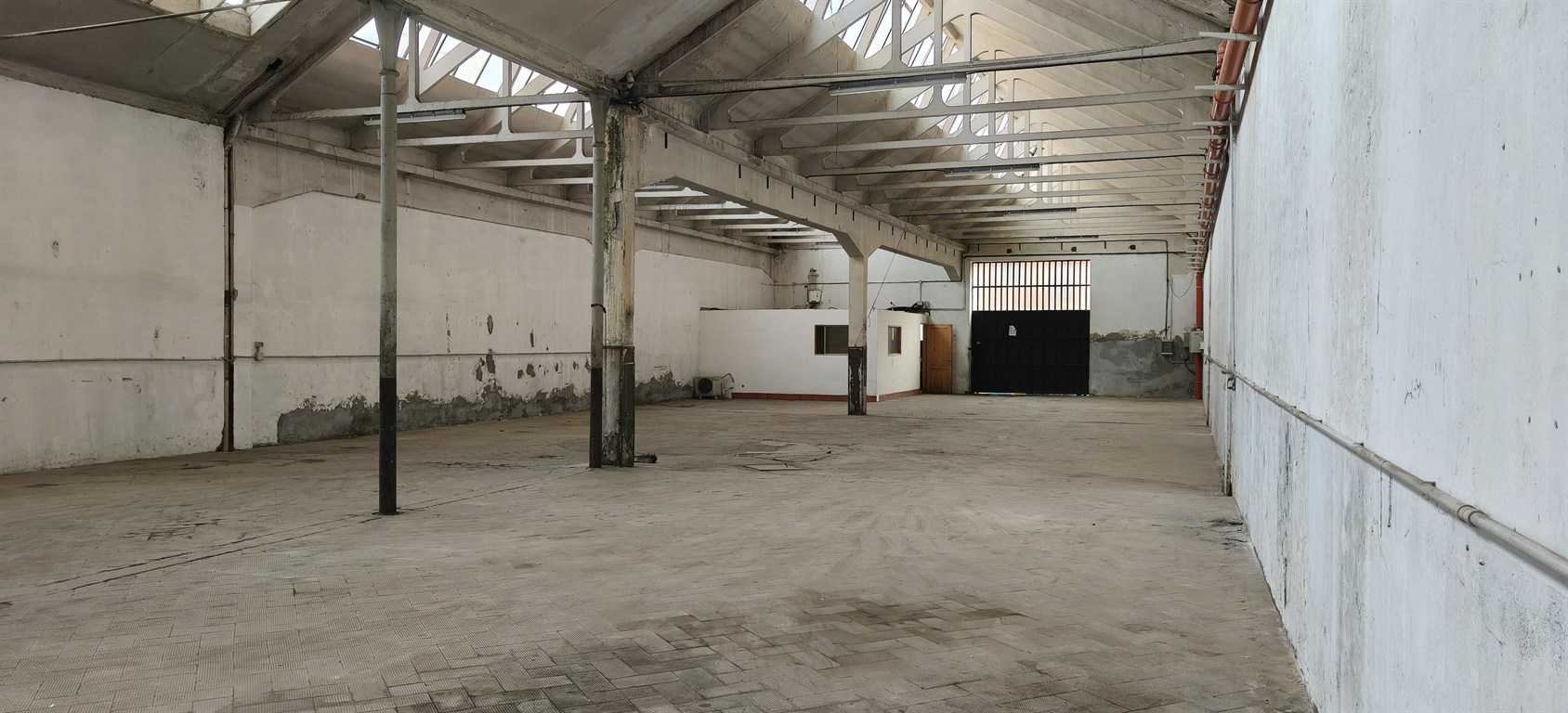  - foto 7