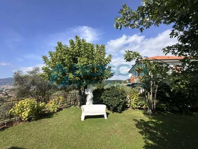  - foto 19