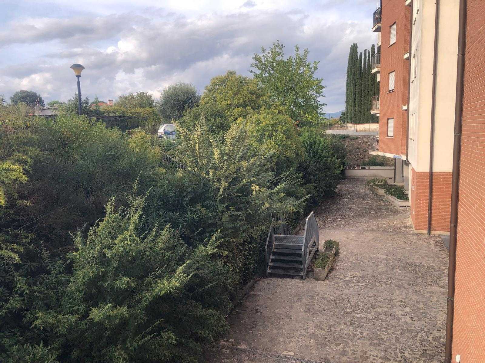  - foto 12