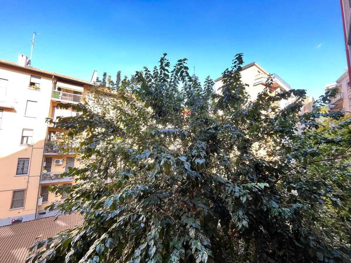  - foto 12