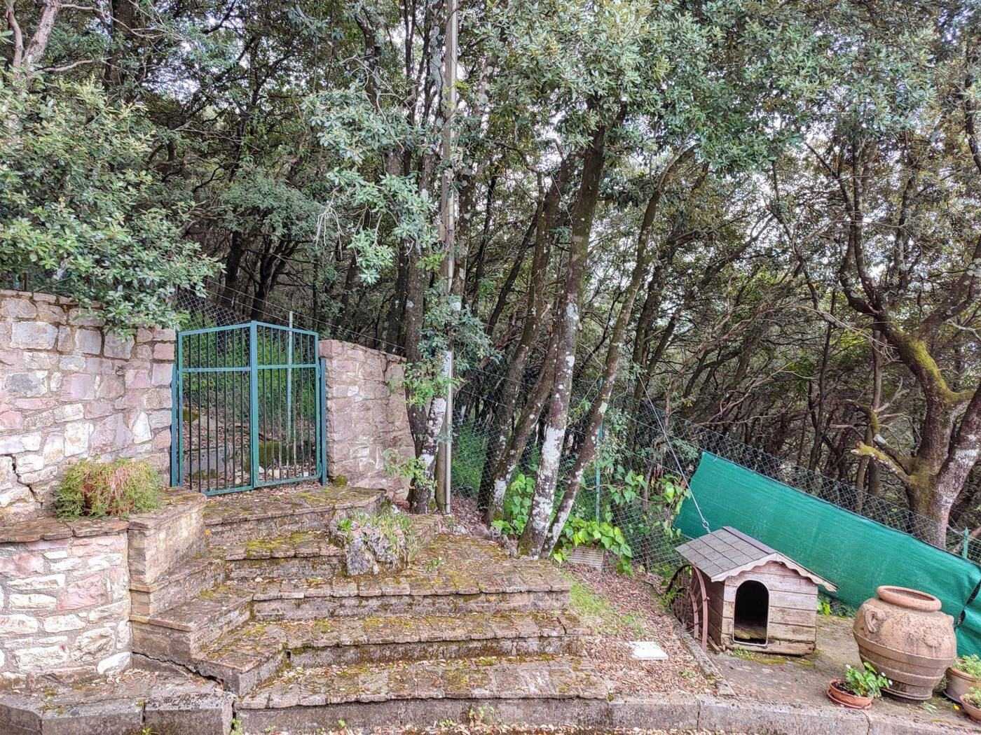  - foto 46