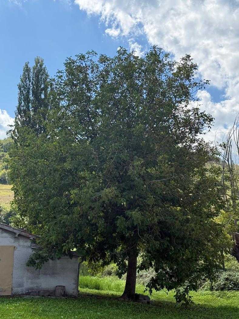  - foto 14