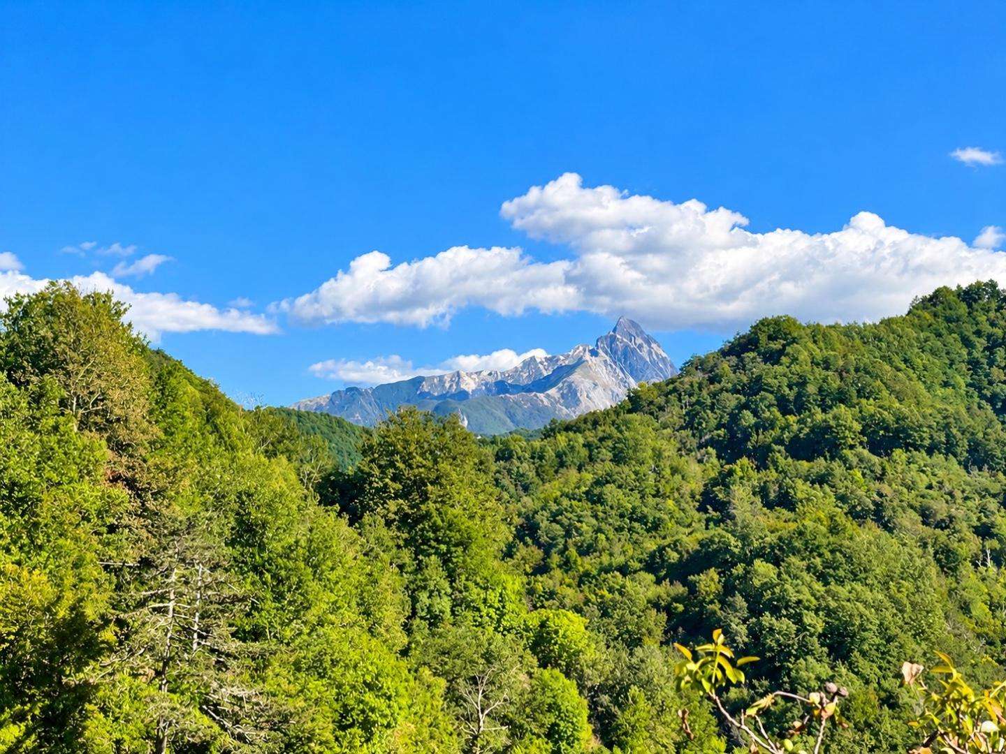  - foto 32
