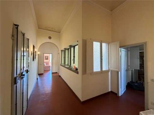  - foto 11