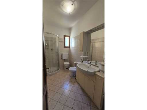  - foto 13