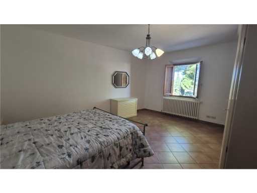  - foto 17