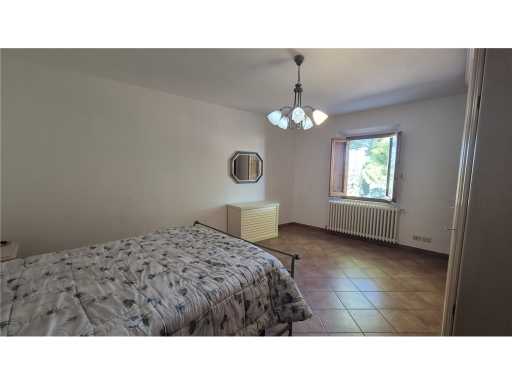  - foto 18