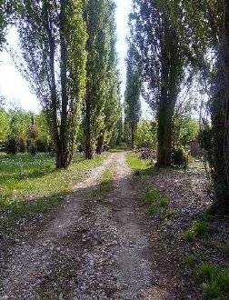 Terreno agricolo Fratta, Caneva