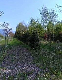  - foto 2