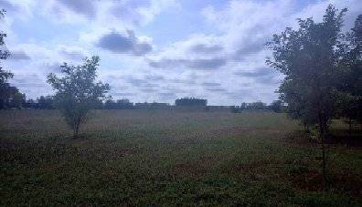 Terreno agricolo Via Siega, Sesto al Reghena