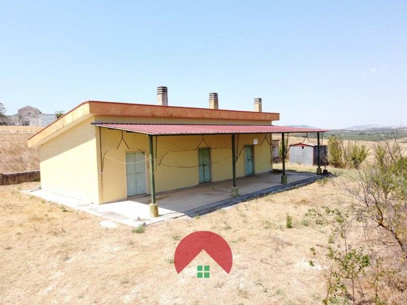  - foto 4